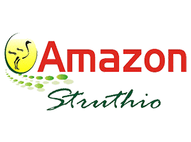 Amazon Struthio